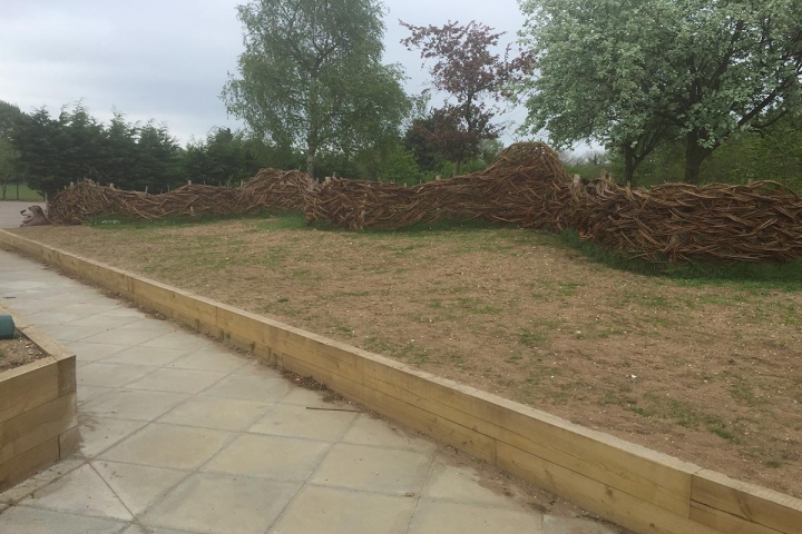 Bishops School Garden